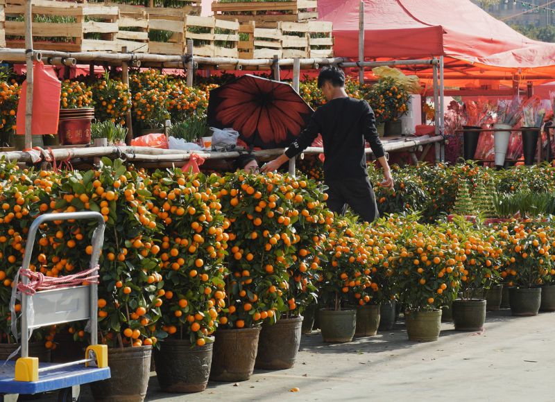 tet-nguyen-dan-xuat-phat-tu-dau